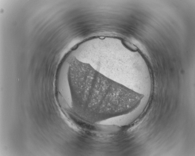 X0000088231237200706121848