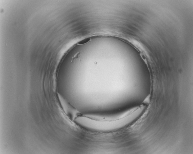 X0000088231238200706121848