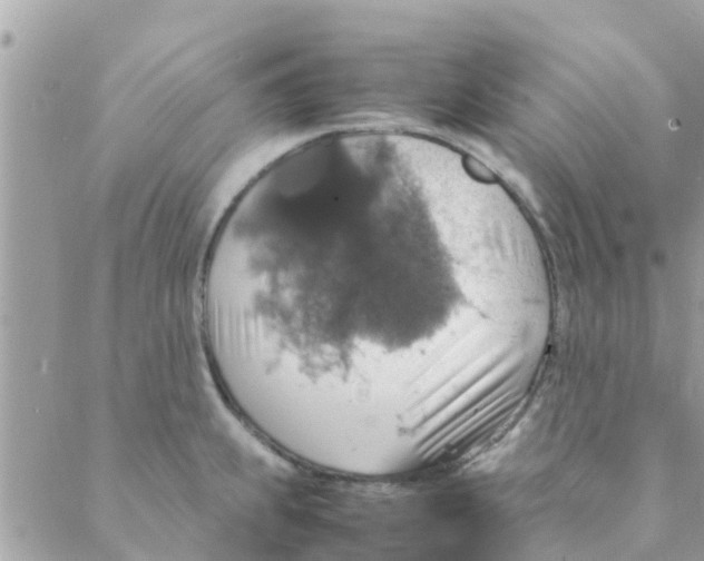 X0000088231239200706121848