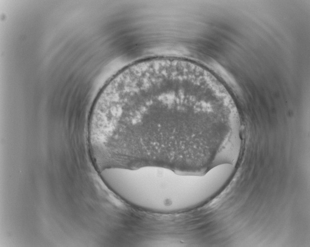 X0000088231240200706121848