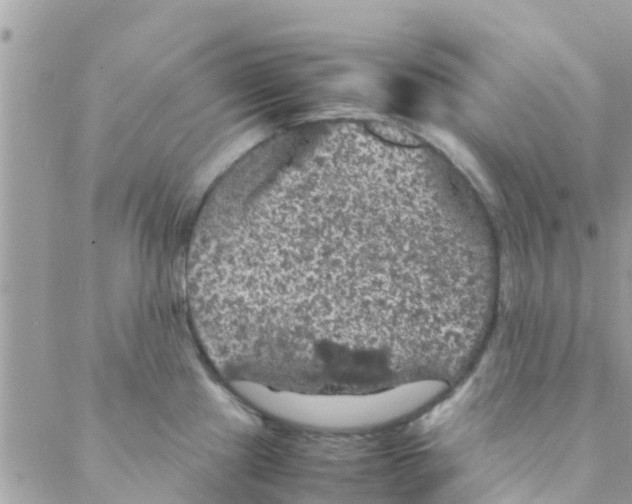 X0000088231241200706121848