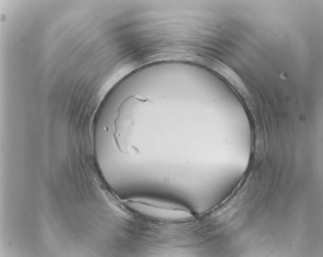 X0000088231242200706121848