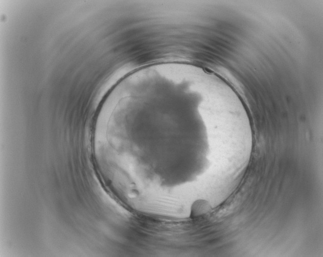 X0000088231243200706121848