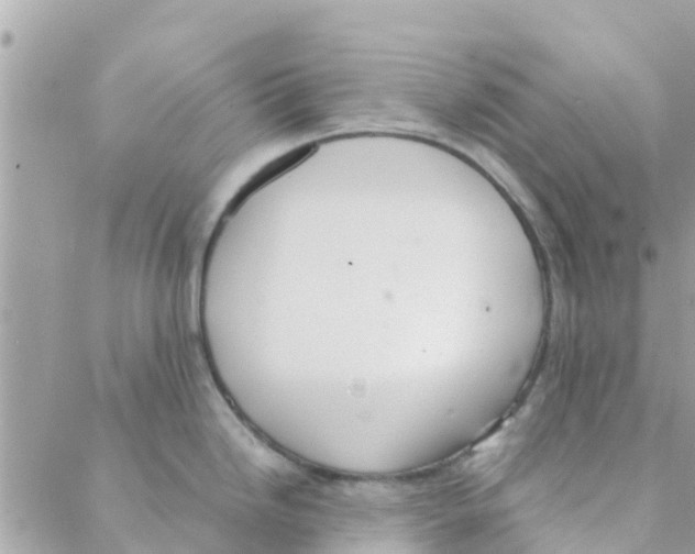 X0000088231246200706121848