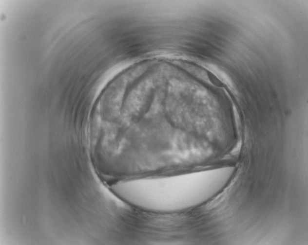 X0000088231247200706121848