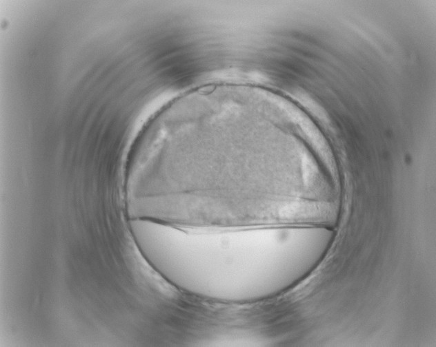 X0000088231248200706121848