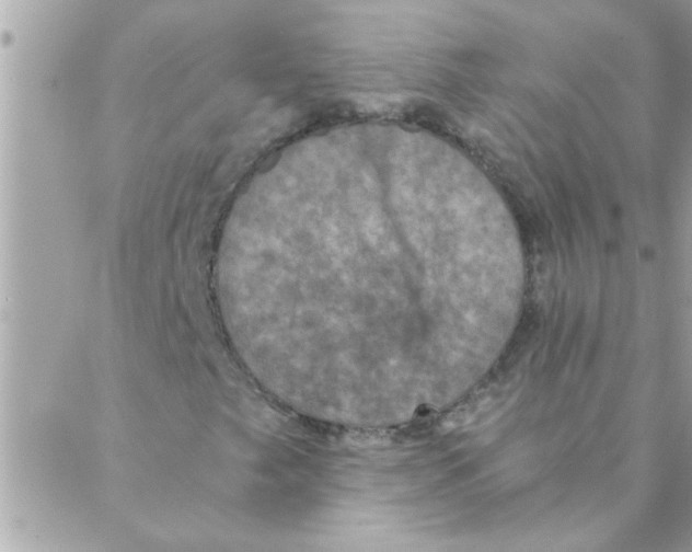 X0000088231249200706121847