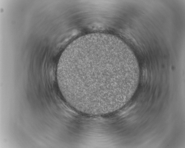 X0000088231250200706121847