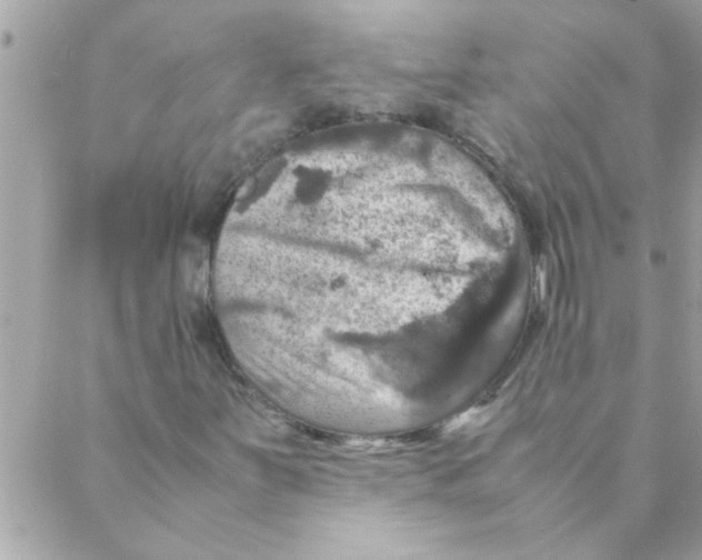 X0000088231251200706121847