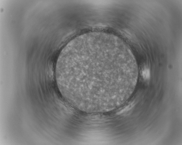 X0000088231252200706121847