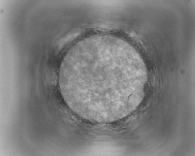 X0000088231253200706121847