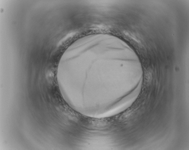 X0000088231254200706121847