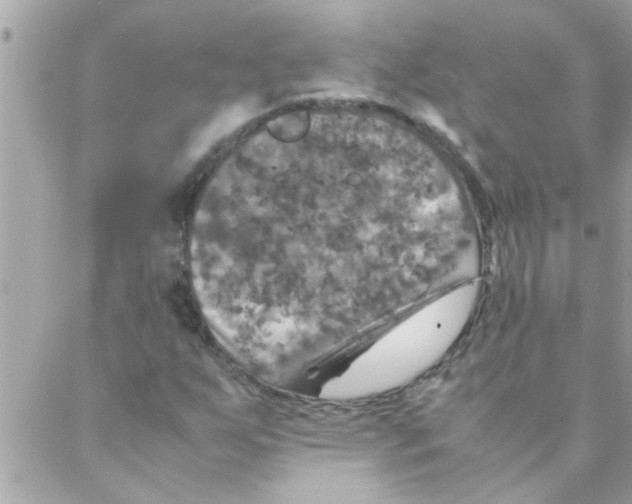 X0000088231255200706121847