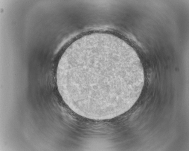 X0000088231256200706121847