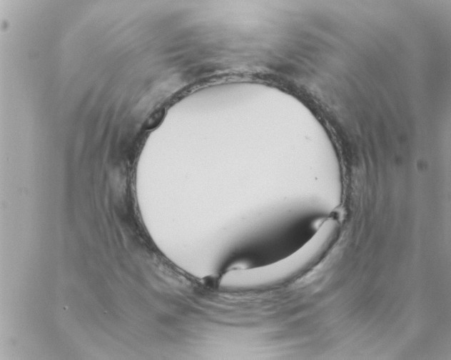 X0000088231257200706121847