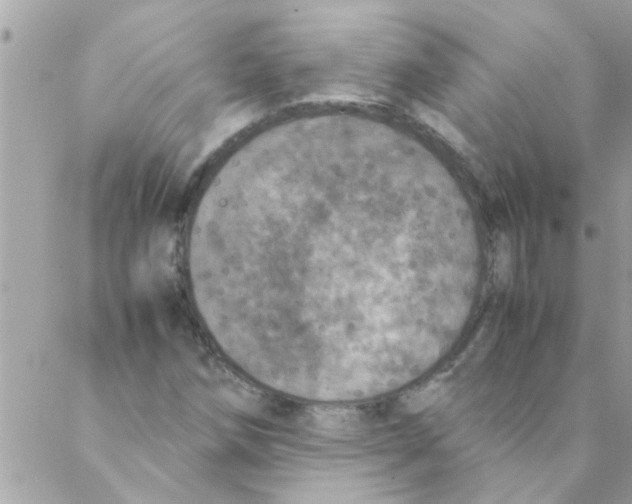 X0000088231258200706121847