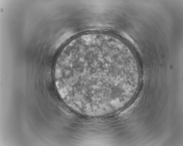 X0000088231259200706121847