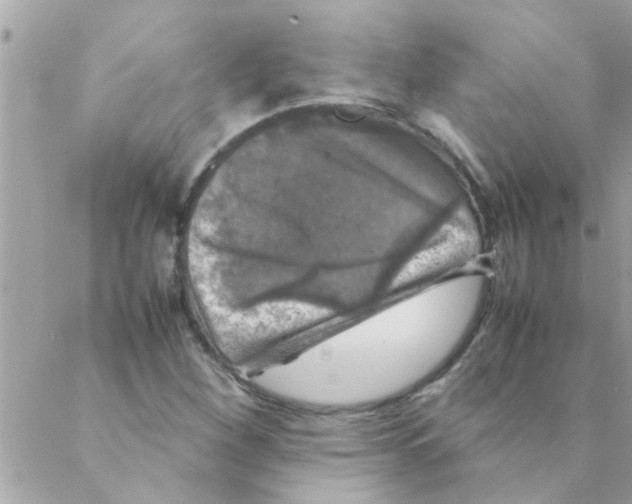 X0000088231260200706121847