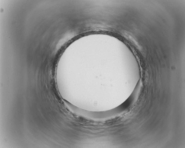 X0000088231261200706121847