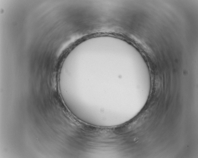 X0000088231262200706121847