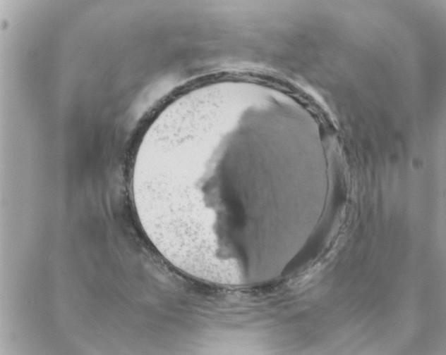 X0000088231263200706121847