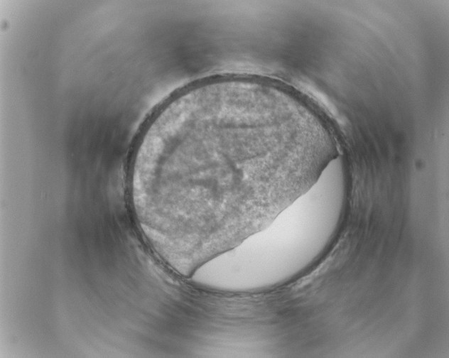 X0000088231264200706121847