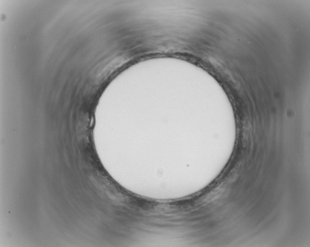 X0000088231265200706121847