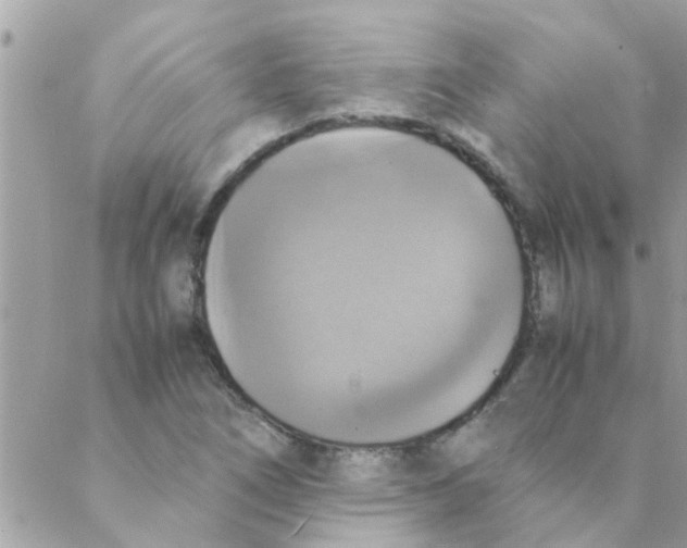 X0000088231266200706121847