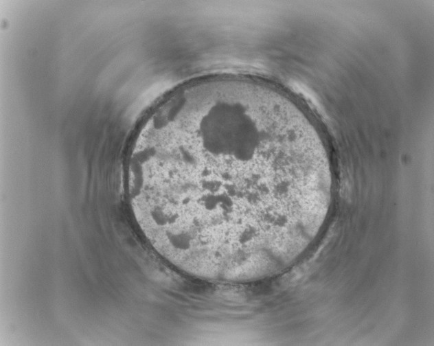 X0000088231267200706121847