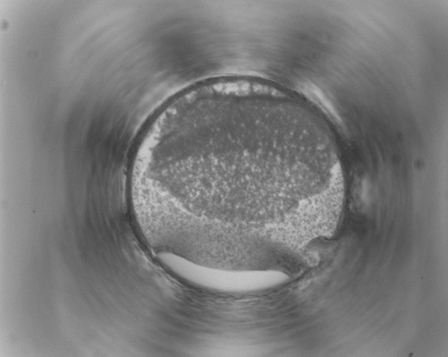 X0000088231268200706121847