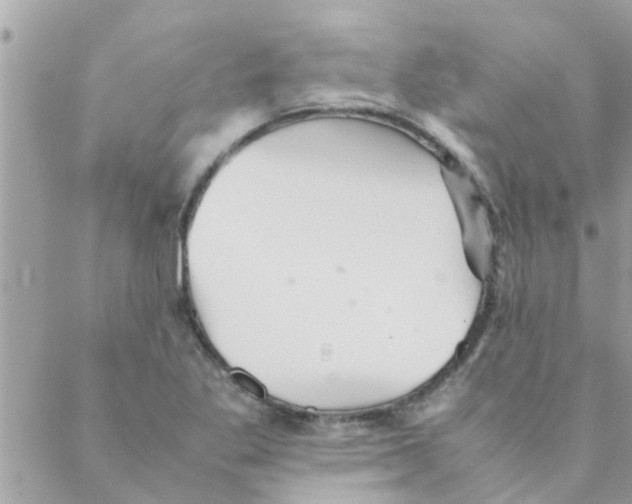 X0000088231269200706121847