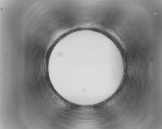 X0000088231270200706121847