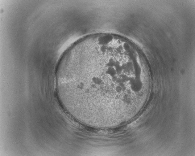 X0000088231271200706121847