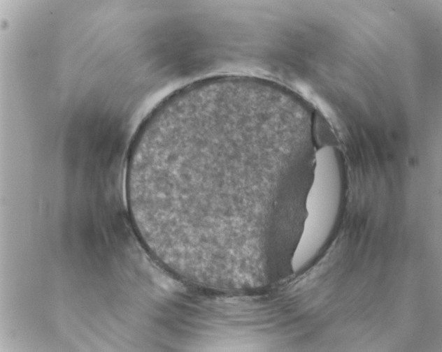 X0000088231272200706121847