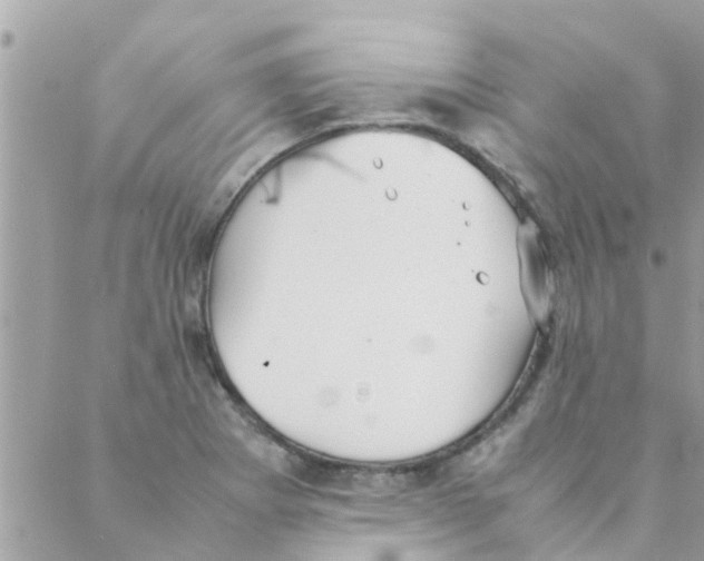 X0000088231273200706121847