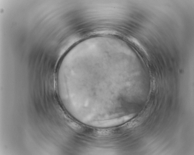 X0000088231274200706121847