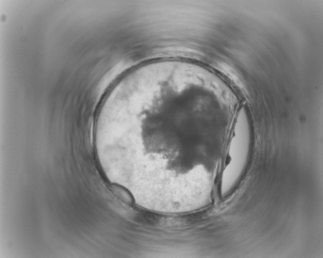 X0000088231275200706121847