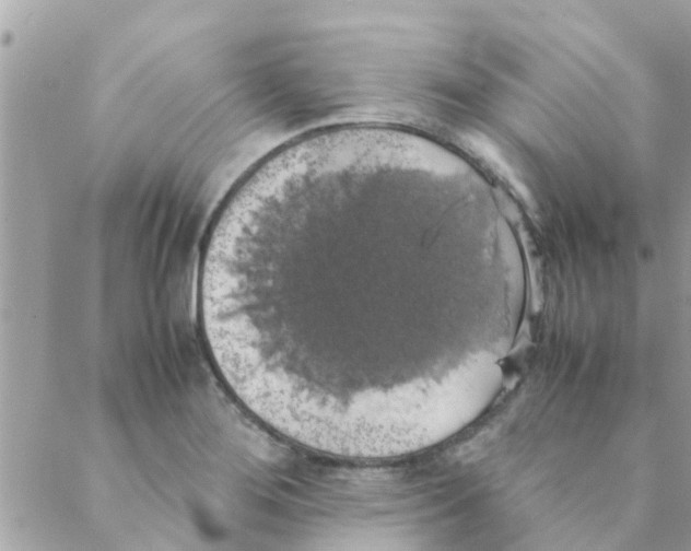 X0000088231276200706121847