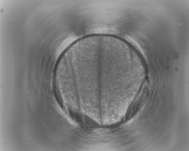 X0000088231277200706121847