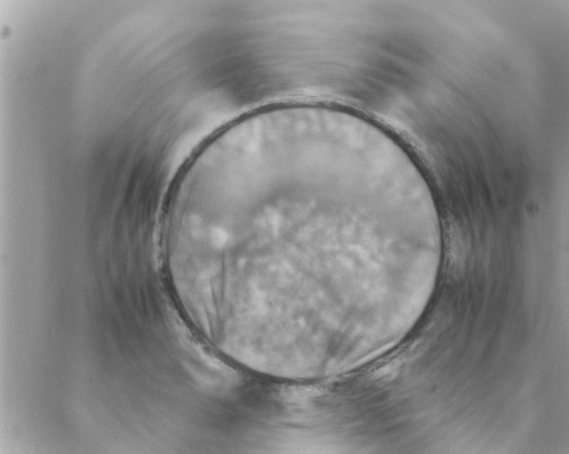 X0000088231278200706121847