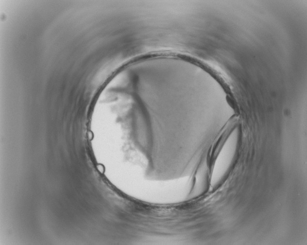 X0000088231279200706121847