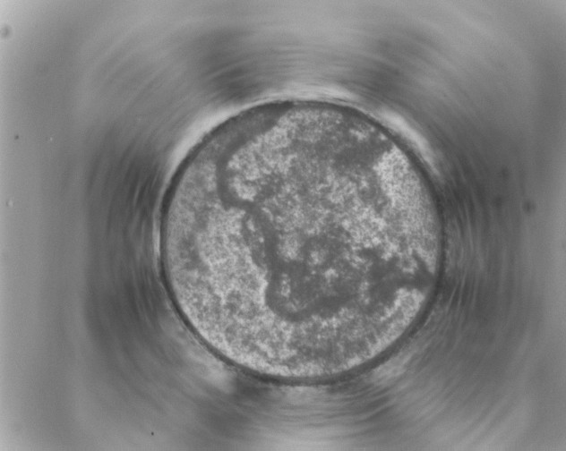 X0000088231280200706121847