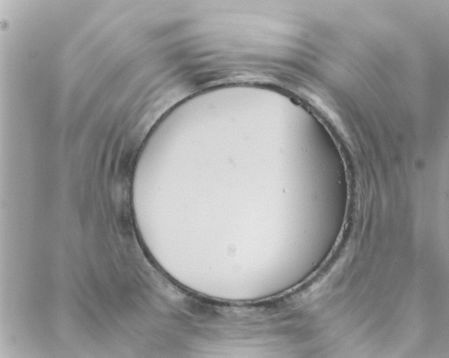 X0000088231281200706121847