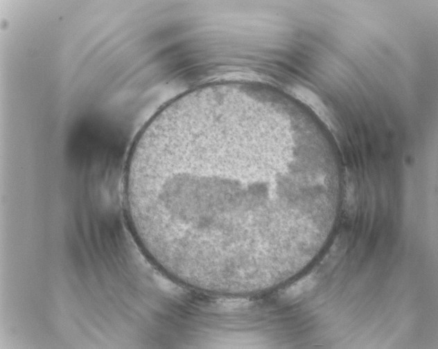 X0000088231282200706121847