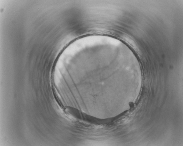 X0000088231283200706121847