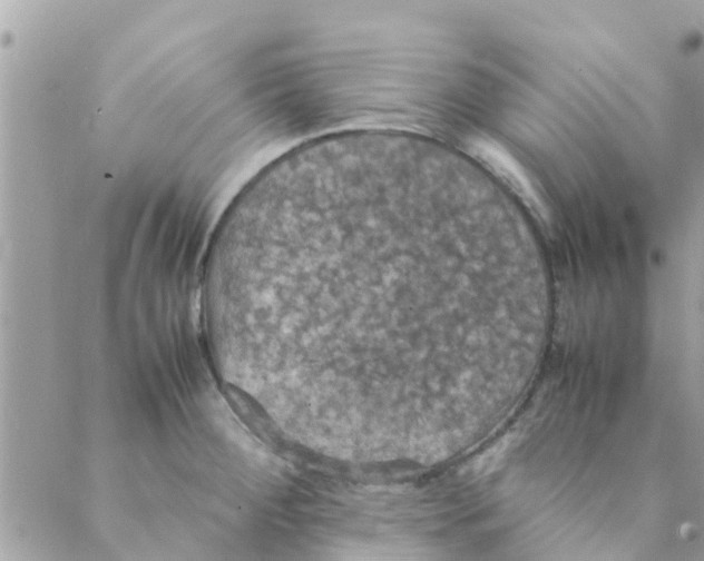 X0000088231284200706121847