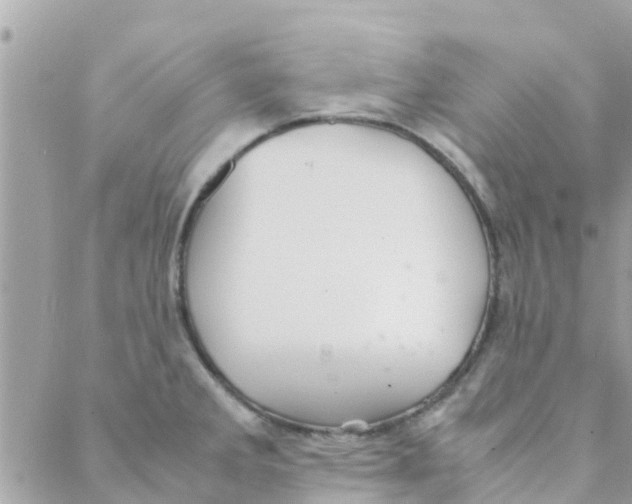 X0000088231285200706121847