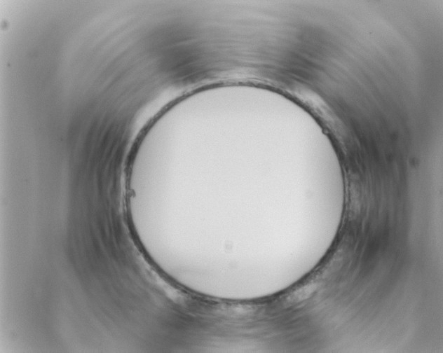 X0000088231286200706121847