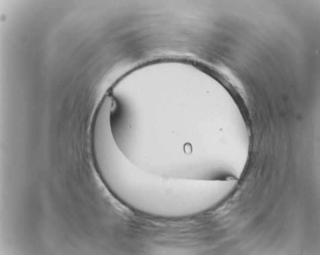 X0000088231287200706121847