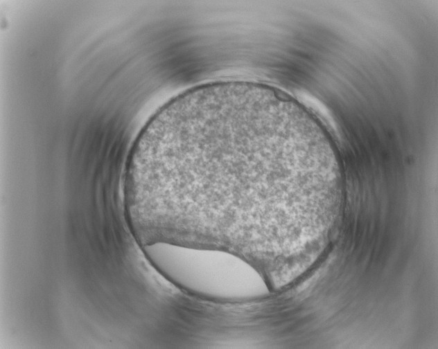 X0000088231288200706121847